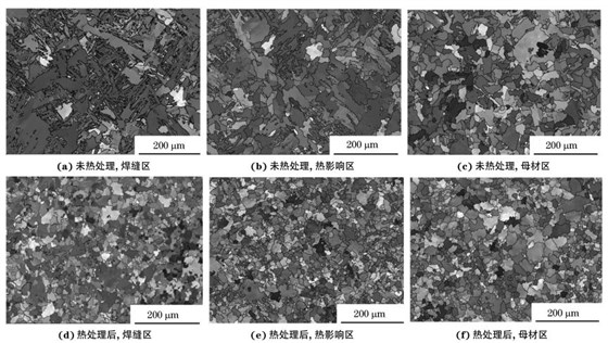 圖２ 熱處理前后焊接接頭焊縫區(qū)、熱影響區(qū)和母材區(qū)的取向成像圖