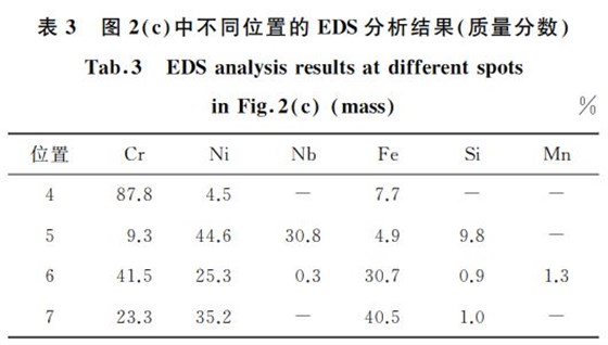 表３ 圖２ c 中不同位置的 EDS分析結(jié)果 質(zhì)量分?jǐn)?shù)