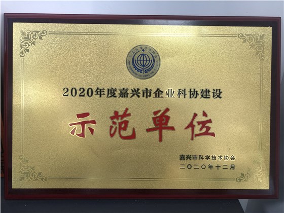 10 嘉興市企業(yè)科協(xié)建設(shè)&ldquo;示范單位&rdquo;