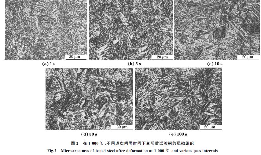 圖２ 在１０００ ℃、不同道次間隔時(shí)間下變形后試驗(yàn)鋼的顯微組織